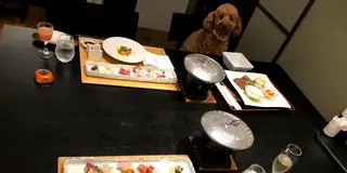 【鹿児島・霧島】愛犬と一緒旅♪