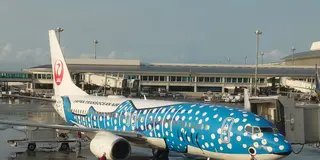 沖縄本島2泊でいいトコどり