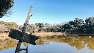 大瀬崎