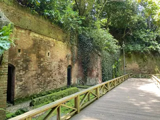 猿島
