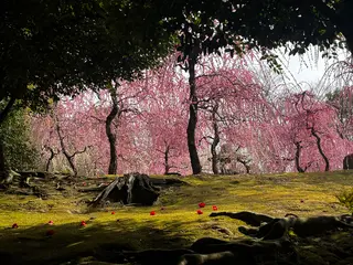 城南宮