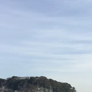 猿島