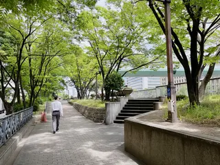 中之島緑道