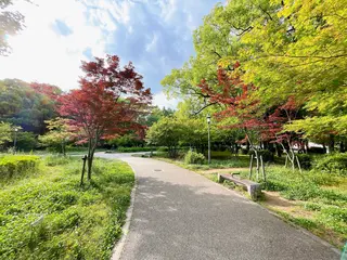 もみじ園（大阪城公園内）
