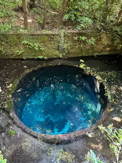 柿田川湧水群