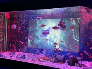 UWS アクアリウム アンダーウォータースペース