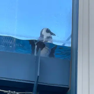 サンシャイン水族館