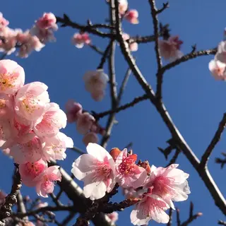 皇居東御苑