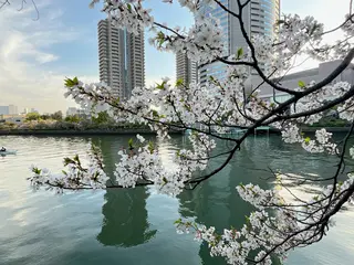桜ノ宮駅