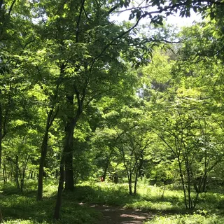 二の丸庭園