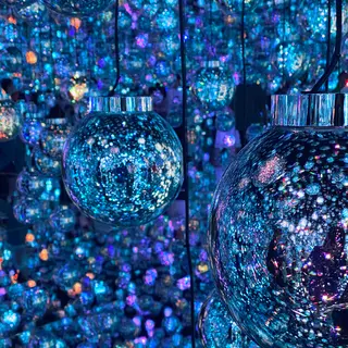 森ビルデジタルアートミュージアム：エプソン チームラボボーダレス（teamLab Borderless: MORI Building DIGITAL ART MUSEUM）