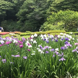 二の丸庭園
