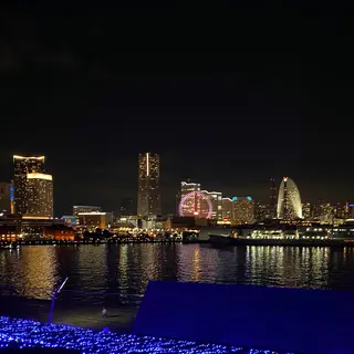 横浜港大さん橋国際客船ターミナル（大さん橋）