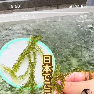 〒901-0362 沖縄県糸満市真栄里１９３１