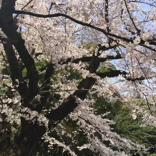 国際基督教大学・ICU大学食堂