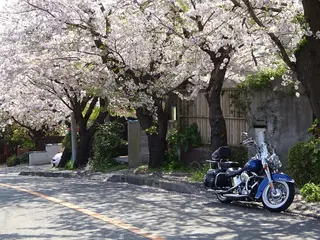 鎌倉山