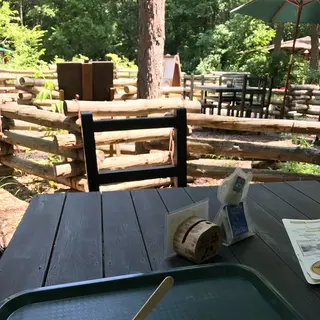 麓郷の森