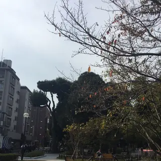 若林公園