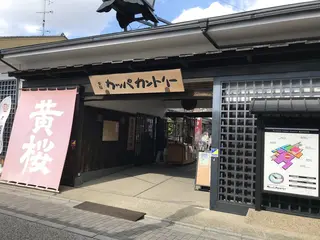キザクラカッパカントリー