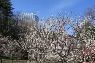芝公園