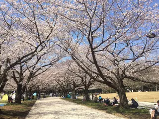 大井ふ頭海浜公園
