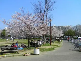 若潮公園