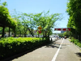 浦安市交通公園