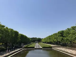 国営昭和記念公園
