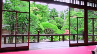 山本亭庭園