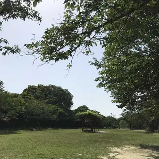 長成池