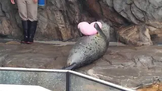 しながわ水族館