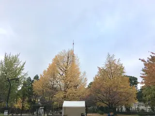 芝公園