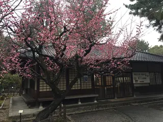 名古屋城