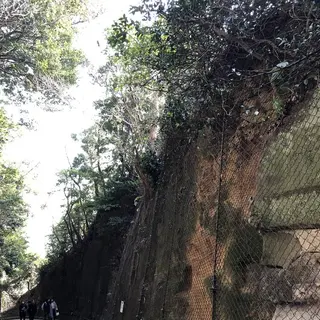 猿島