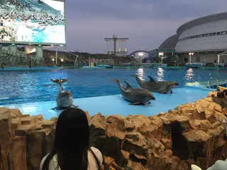 名古屋港水族館