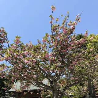 常陸第三宮 吉田神社
