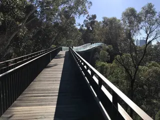 Kings Park and Botanic Garden（キングスパーク＆植物園）
