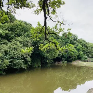 夫婦池公園