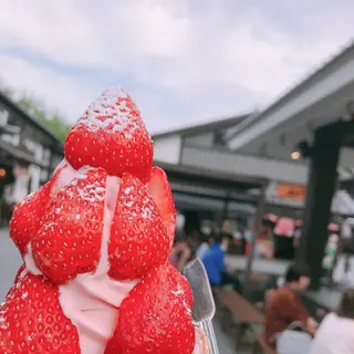 桜の馬場城彩苑