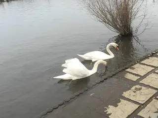道の駅水の郷さわら