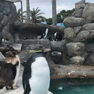 【閉業】京急油壺マリンパーク