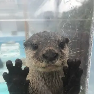 【閉業】京急油壺マリンパーク