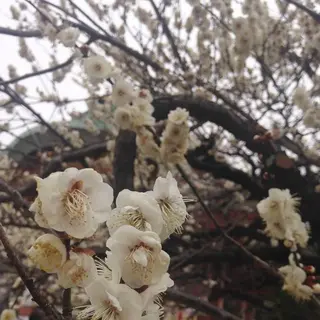 北野天満宮