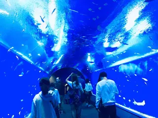 海遊館