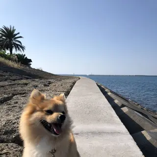 波の上うみそら公園