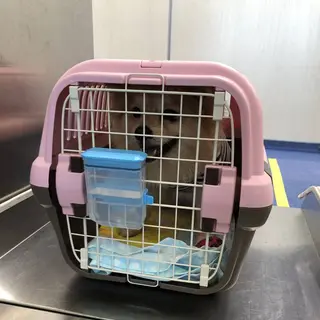 那覇空港