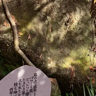 明月院（あじさい寺）
