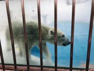 熊本市動植物園