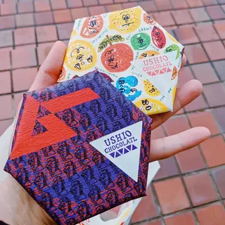 USHIO CHOCOLATL （ウシオチョコラトル）