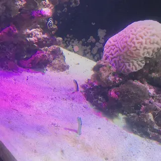 沼津港深海水族館